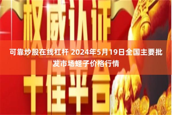 可靠炒股在线杠杆 2024年5月19日全国主要批发市场蛏子价格行情