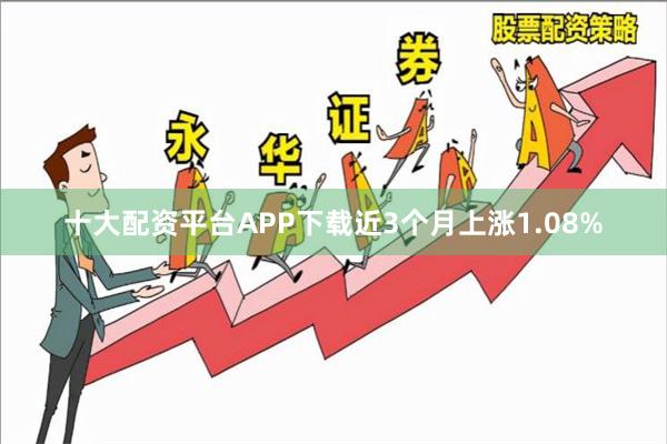 十大配资平台APP下载近3个月上涨1.08%