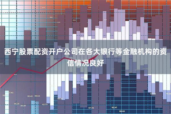 西宁股票配资开户公司在各大银行等金融机构的资信情况良好