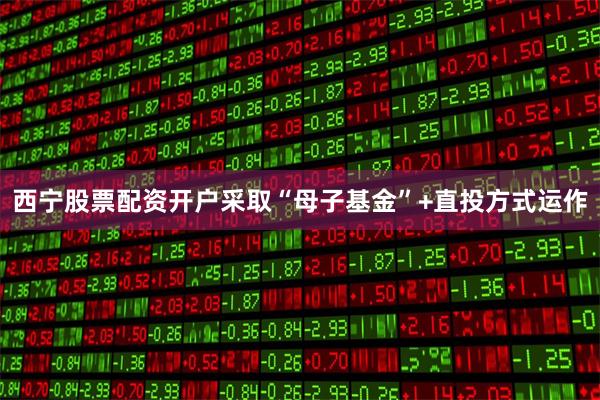 西宁股票配资开户采取“母子基金”+直投方式运作